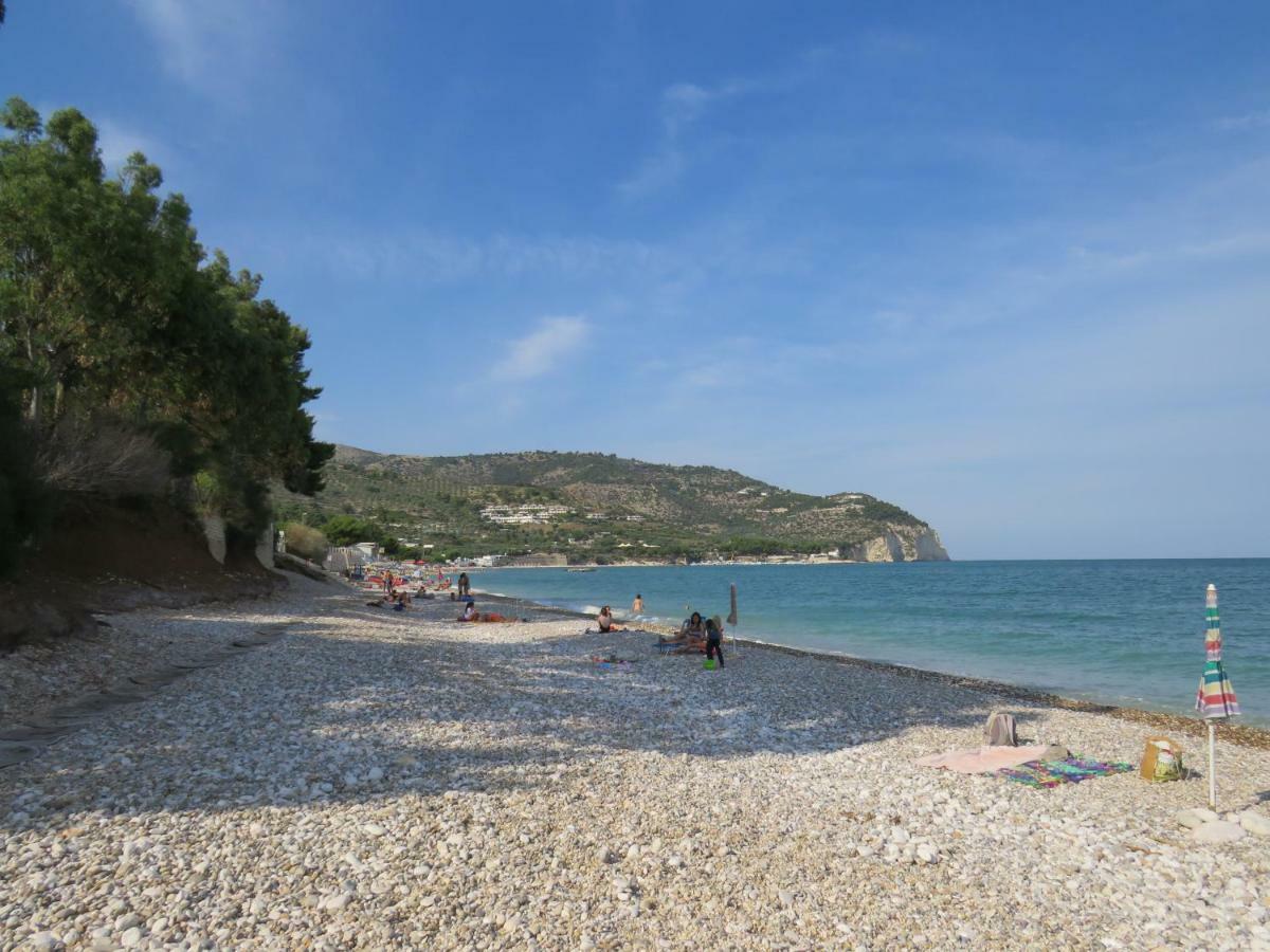 Casa Vacanza Afe A Pochi Passi Dal Mare マッティナータ エクステリア 写真